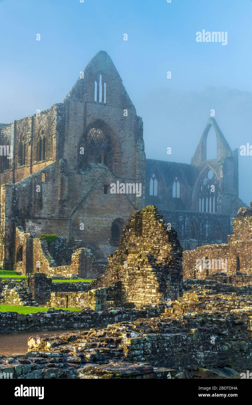 Le rovine dell'abbazia cistercense di Tintern, del XII secolo, nella valle di Wye, Galles, Regno Unito, Europa Foto Stock