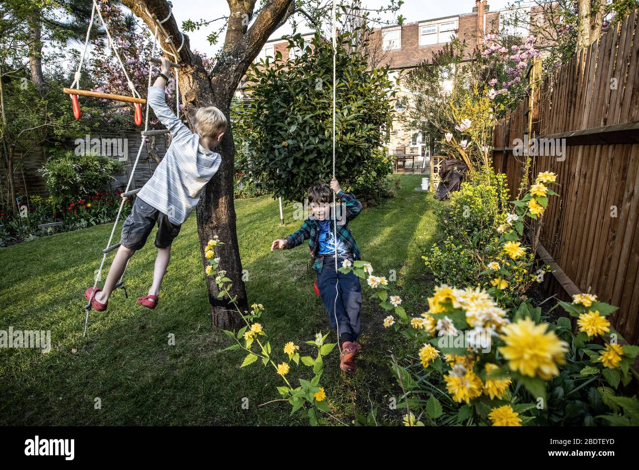 Due giovani fratelli di 6 e 9 anni che giocano su una scala di corda e swing di corda nel loro giardino posteriore, Londra, Inghilterra, Regno Unito Foto Stock