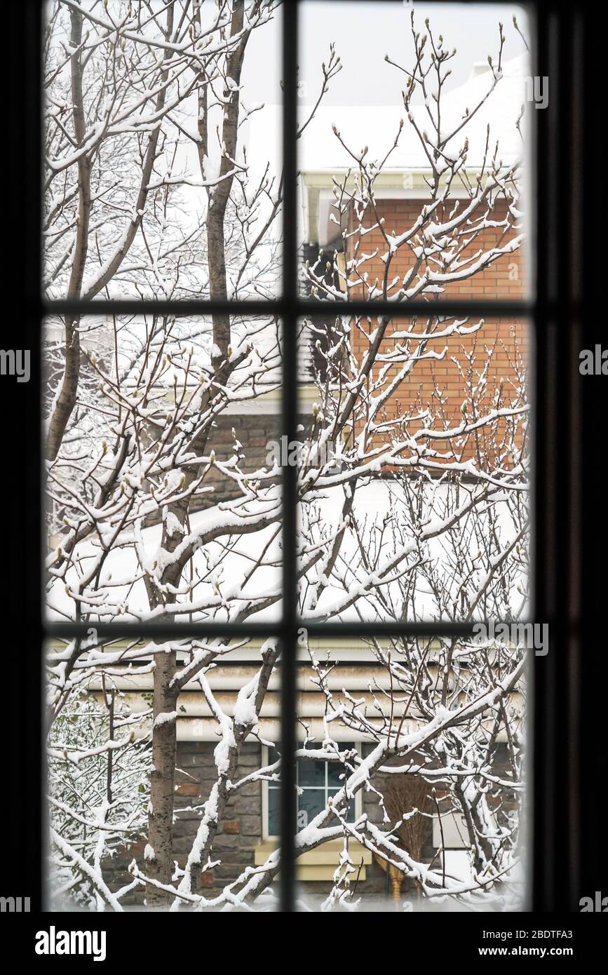 Finestra Con Sfondo Di Neve Inverno Vista - Fotografie stock e altre immagini di Finestra - Finestra, Neve, Natale - iStock