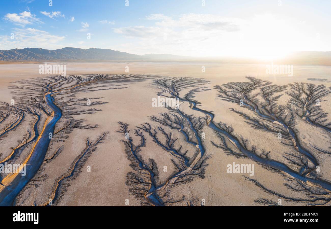 L'erosione taglia l'albero di Fratcal che osserva i modelli in un letto asciutto del lago i. Foto Stock