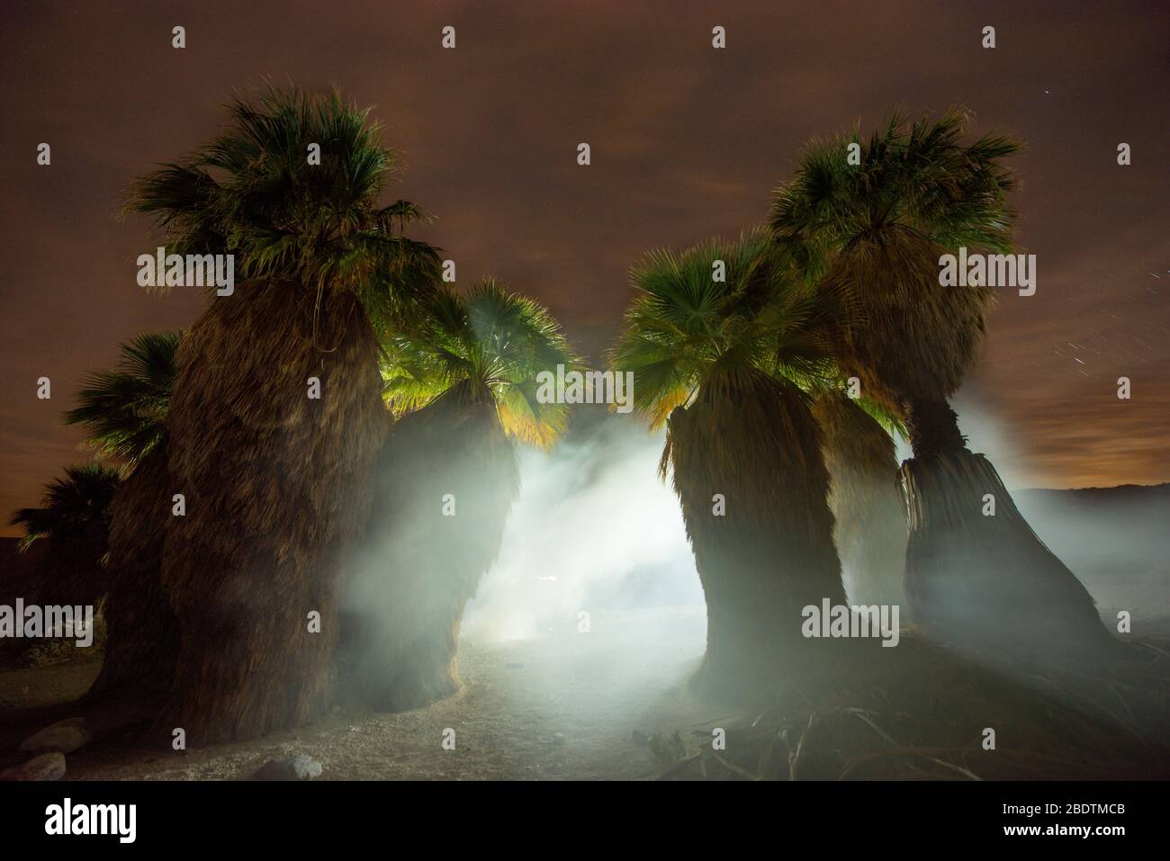 Notte lunga esposizione Desert Scene in Anza Borrego National P Foto Stock