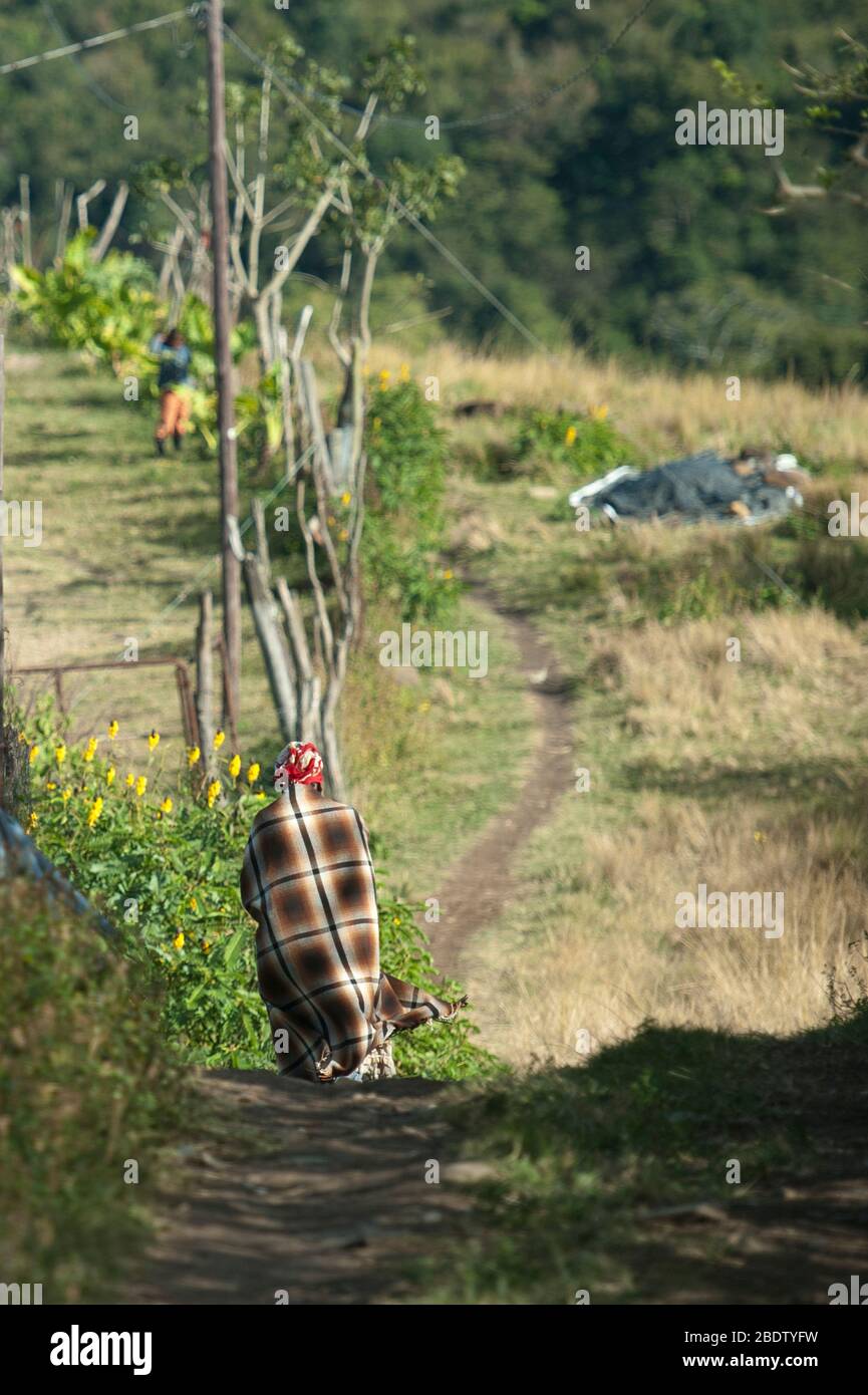 Donna che indossa il tappeto che cammina lungo Pondoland, Capo orientale, Transkei, Sudafrica Foto Stock