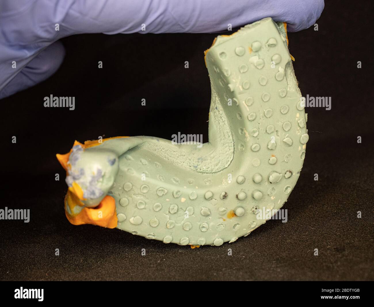 Il lato opposto della stampa in silicone morso del paziente. Il dentista tiene la copia del dente in silicone. Foto Stock