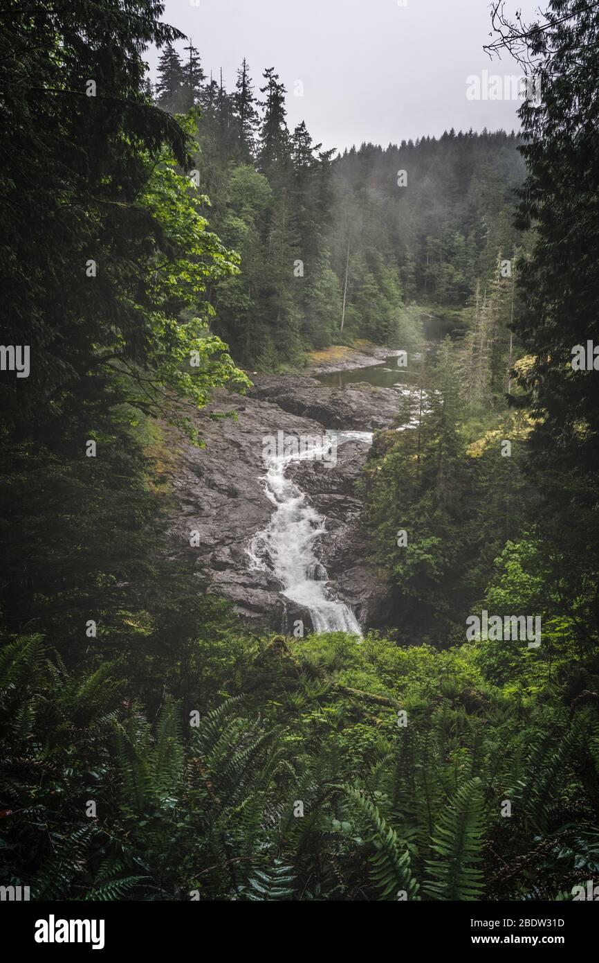 Parco Provinciale di Elk Falls e Area protetta sull'Isola di Vancouver in Canada Foto Stock