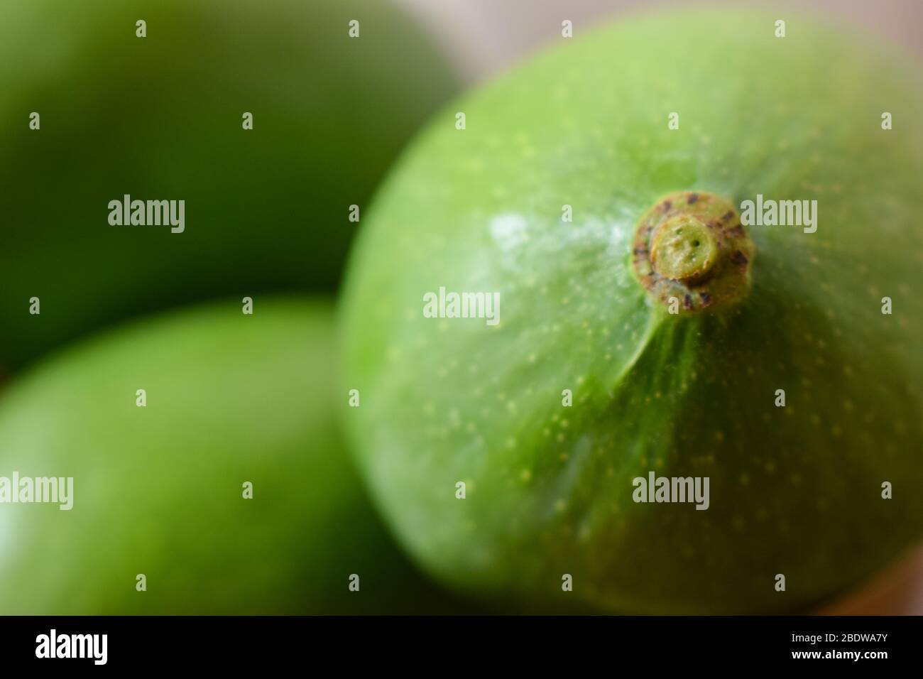 Organica giovane Mango Verde Branch Macro isolato su tavola di legno frutta acour. Foto Stock