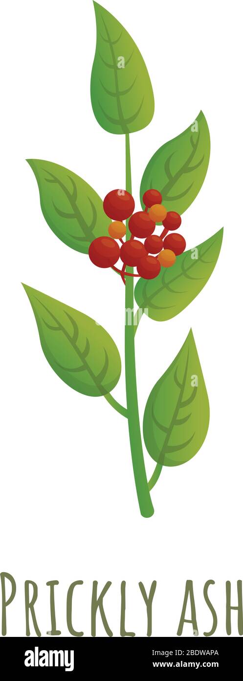 Icona cenere. Cartoon di cenere icona vettoriale per web design isolato su sfondo bianco Illustrazione Vettoriale