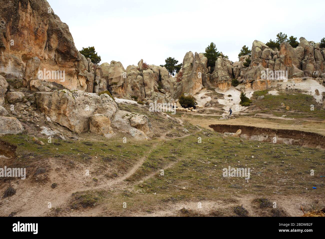 Frigiano. Valle di Phrygian. Le case di roccia. Camini di fata. canyon'Afyonkarahisar' / Turchia Foto Stock