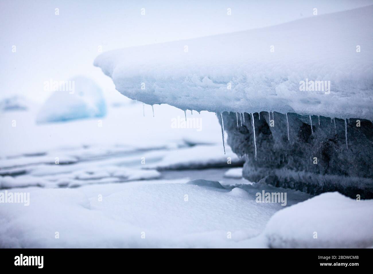 Primo piano di ghiaccio e ghiaccioli nella laguna del ghiacciaio di Jokulsarlon, Islanda Foto Stock