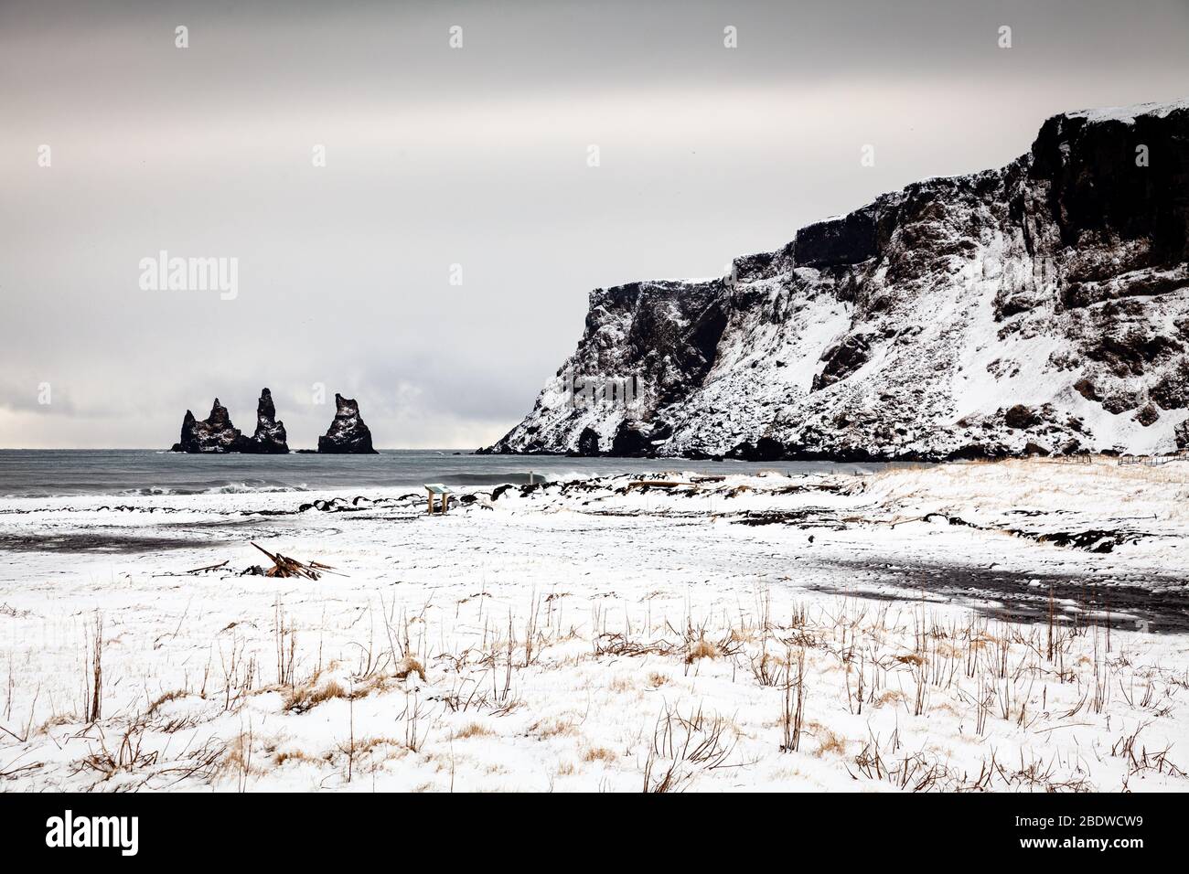 Le falde di mare di Reynisdragar e le scogliere di Reynisfjall coperte di neve in inverno a Vík í Mýrdal, sulla costa meridionale dell'Islanda Foto Stock