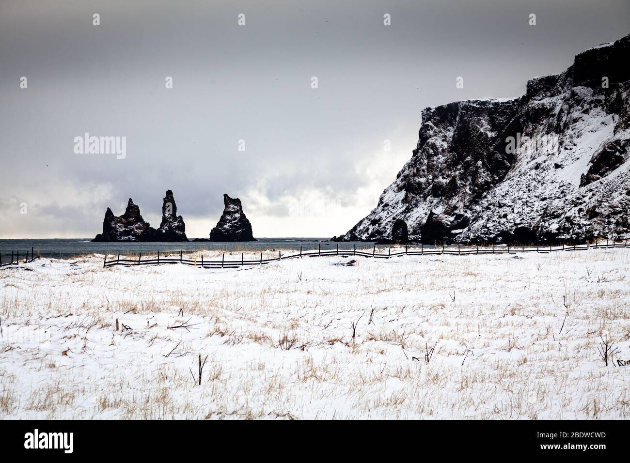 Le falde di mare di Reynisdragar e le scogliere di Reynisfjall coperte di neve in inverno a Vík í Mýrdal, sulla costa meridionale dell'Islanda Foto Stock