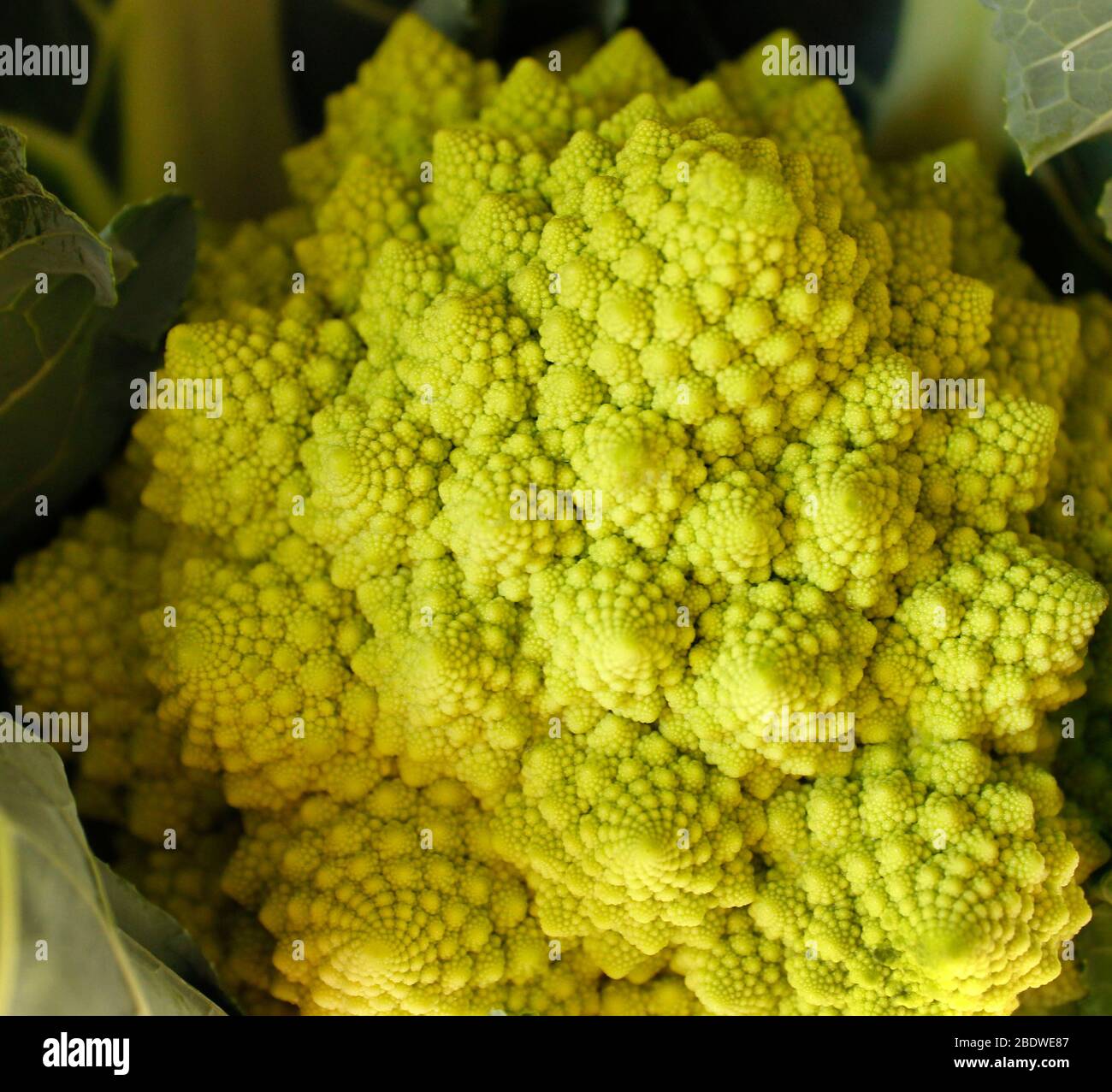 Verdure romanesco (cavolfiore verde) tagliate a fresco Foto Stock