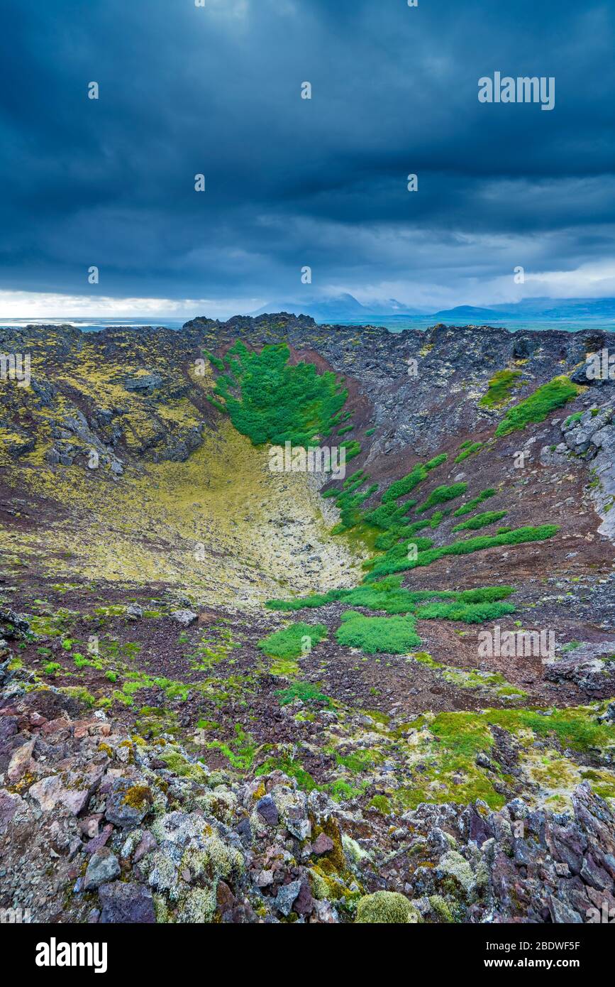 Eldborg, Regione Occidentale, Islanda Foto Stock