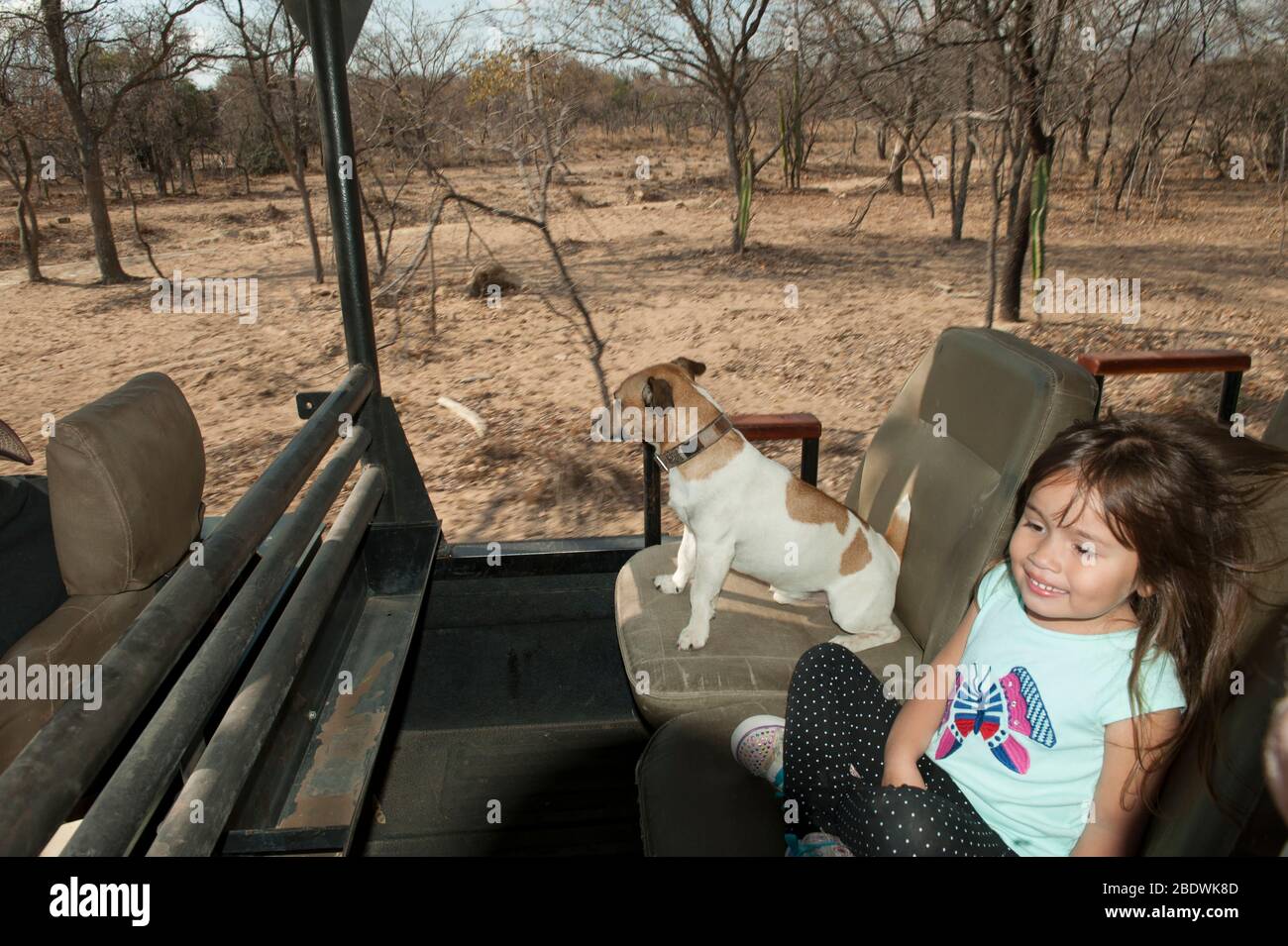 Ragazza e cane, Canis lupus familiaris, giovane ragazza seduta in game drive veicolo vicino al cane, ANT Hill Reserve, vicino Vaalwater, Limpo Foto Stock