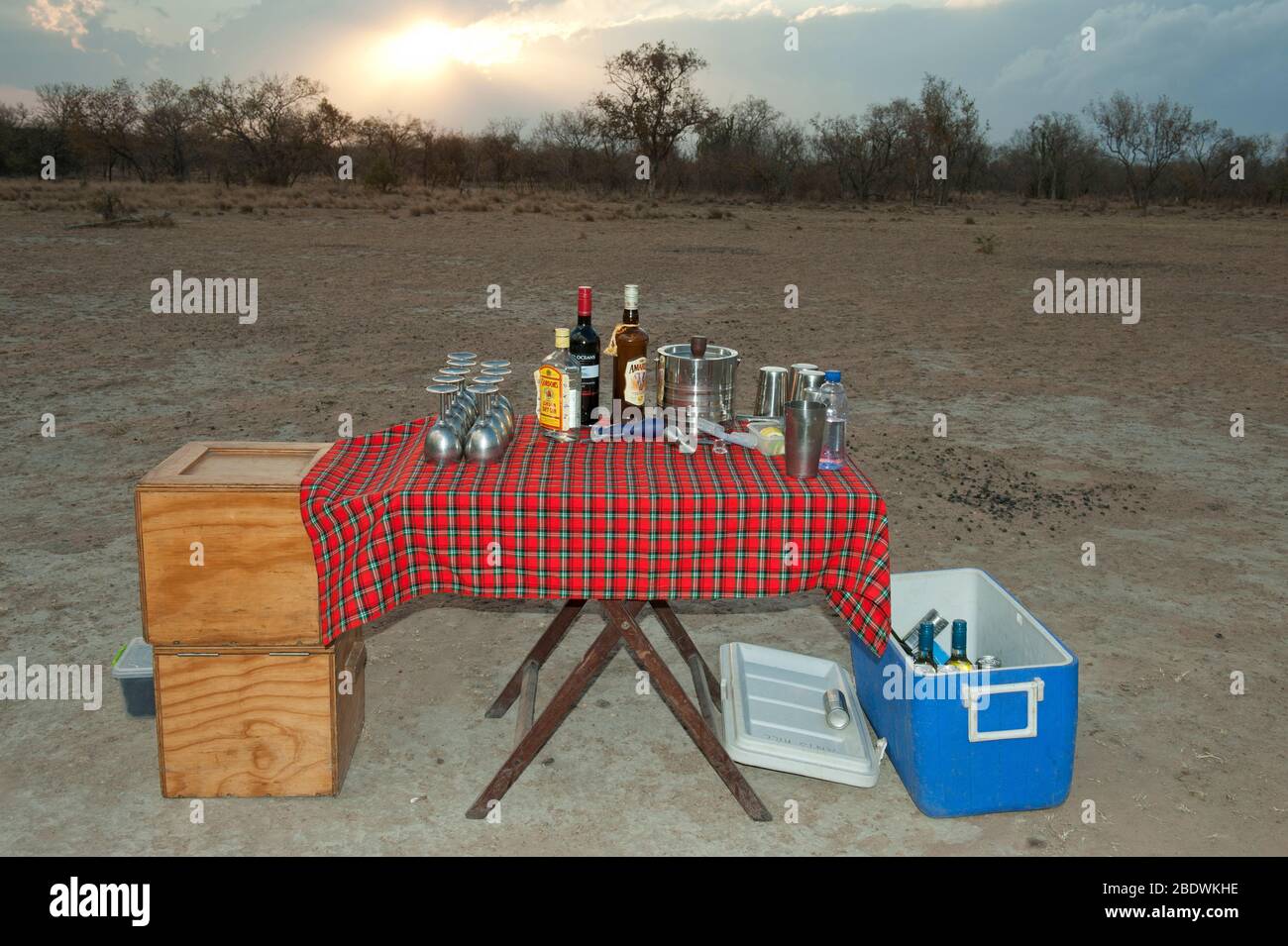 Tavolo da picnic con bevande al tramonto, Ant's Hill Reserve, vicino a Vaalwater, provincia di Limpopo, Sudafrica Foto Stock