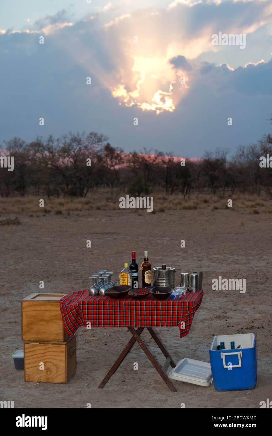 Tavolo da picnic con bevande al tramonto, Ant's Hill Reserve, vicino a Vaalwater, provincia di Limpopo, Sudafrica Foto Stock