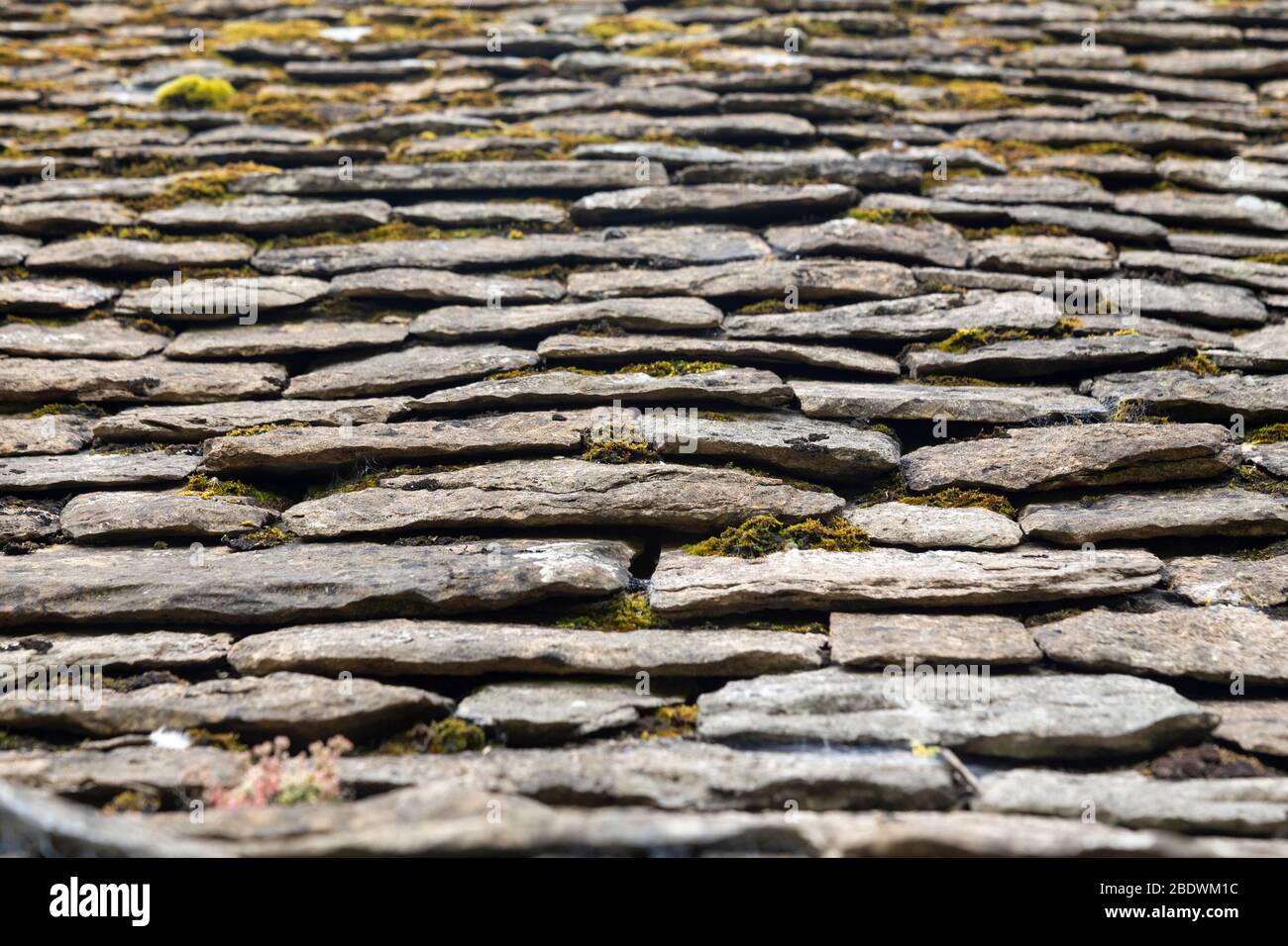 Tegole in vecchio stile su Arlington Row ad Arlington nella parrocchia di Bibury, Gloucestershire, Inghilterra Foto Stock