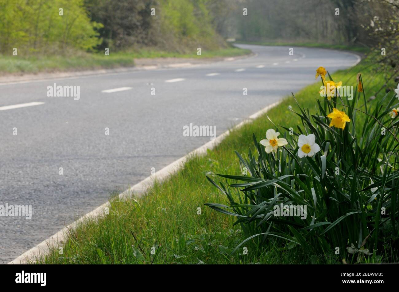 Kington, Herefordshire, Regno Unito. 10 aprile 2020. Coronavirus pandemico. Non c'è traffico sulla A44 Kington by-pass, una delle principali strade che portano dal Midlands al Mid Wales. Sembra che il traffico sia molto limitato dalla città del mercato di Herefordshire, che si trova a tre miglia dal confine inglese/gallese. Credit: Andrew Compton/Alamy Live News Credit: Andrew Compton/Alamy Live News Foto Stock