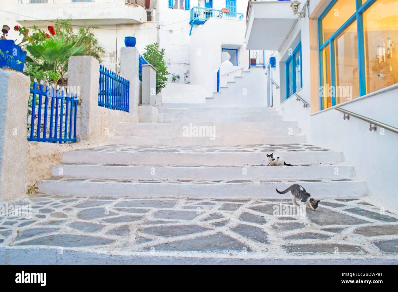 fotografia di strada di Naxos Chora Cyclades Grecia Foto Stock