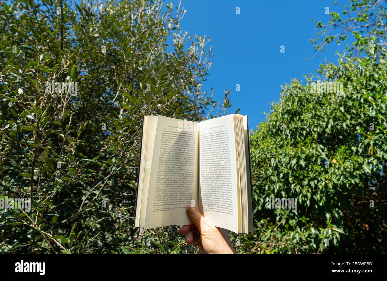 Leggi un libro che giace sull'erba del giardino durante la distanza sociale Coronavirus Foto Stock