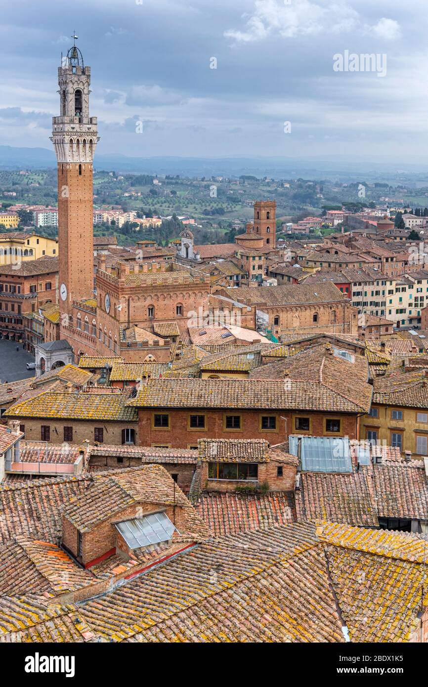 Siena, Toscana, Italia Foto Stock