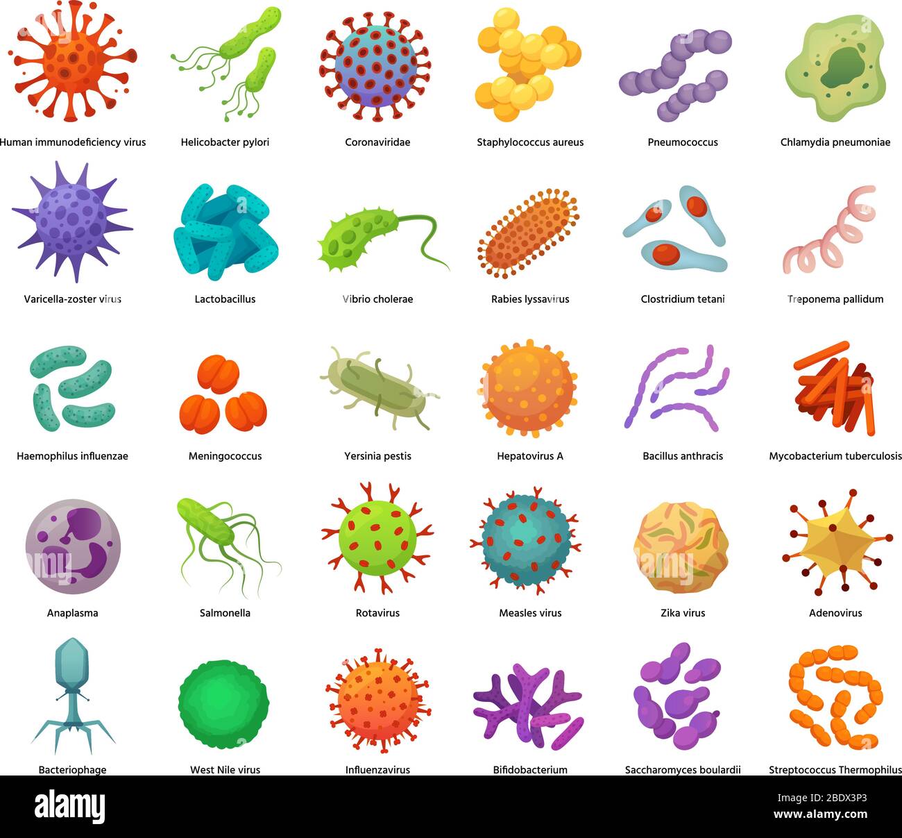 Batteri e icone di virus. Batteri, virus e microbi che causano malattie. Germi colorati, tipi di batterio Set di illustrazioni vettoriali Illustrazione Vettoriale