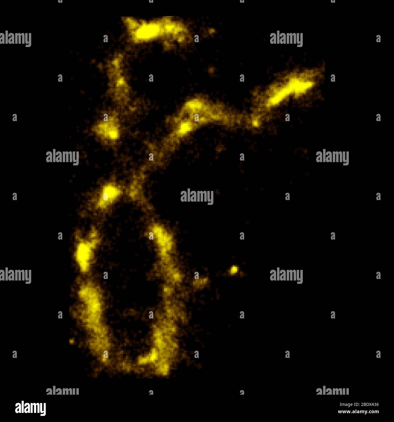Cromosoma umano a 20 nanometri Foto Stock
