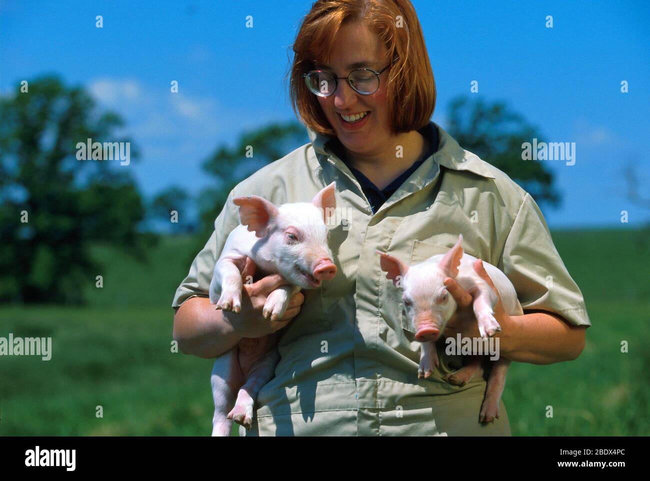 Fisiologo animale con maialino Foto Stock