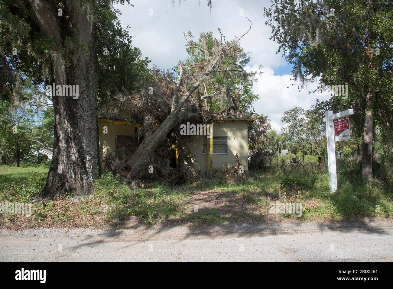 Uragano postumi di Irma Foto Stock