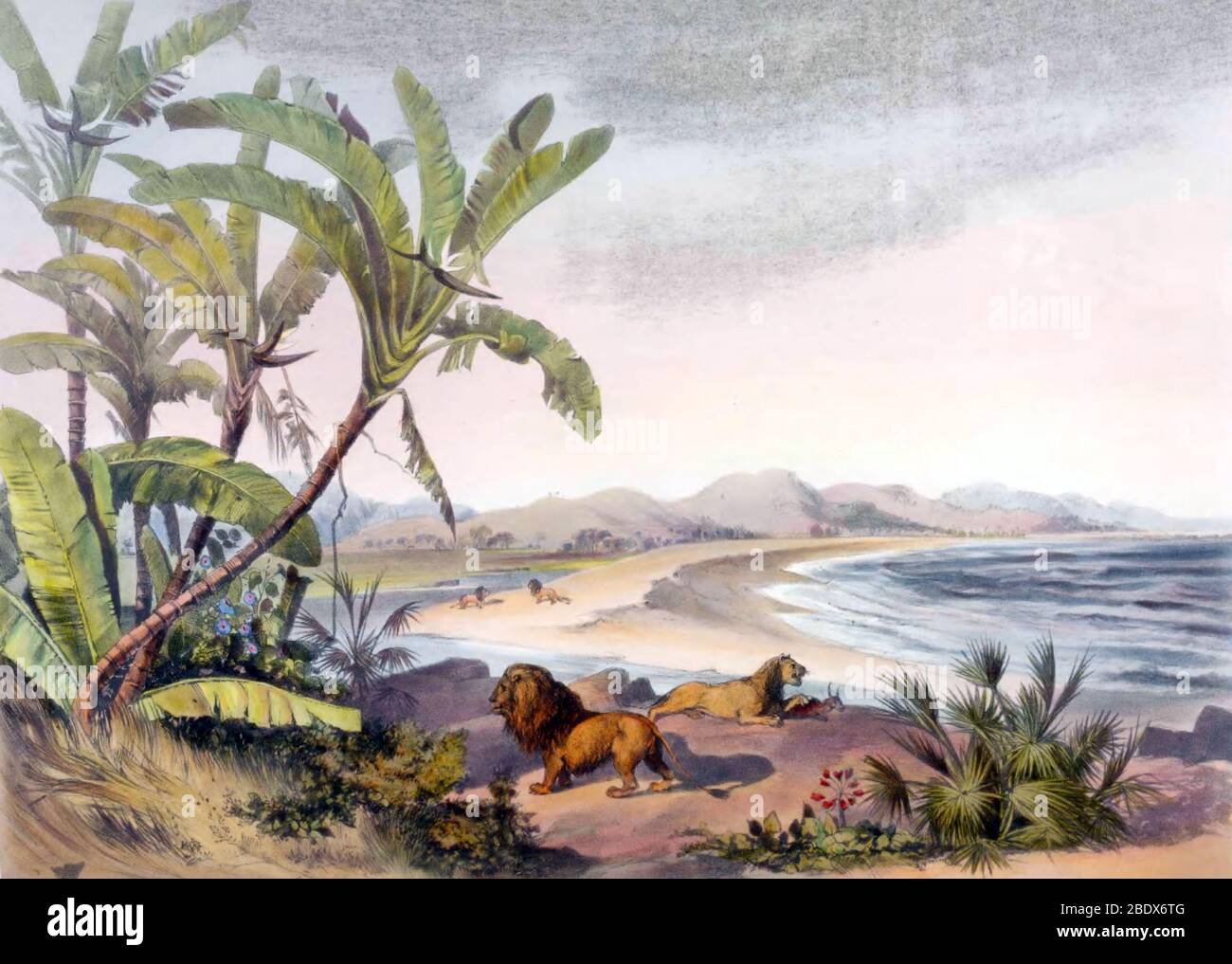 Sudafrica, Umvoti River sull'Oceano Indiano, 1840 Foto Stock