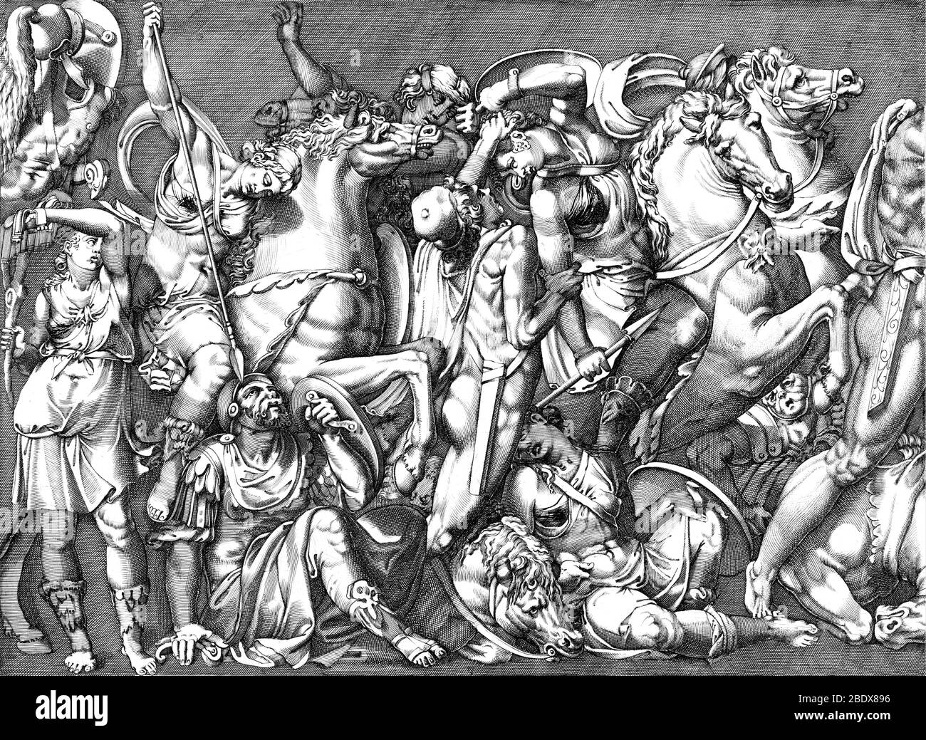 Battaglia dei guerrieri Amazon Foto Stock