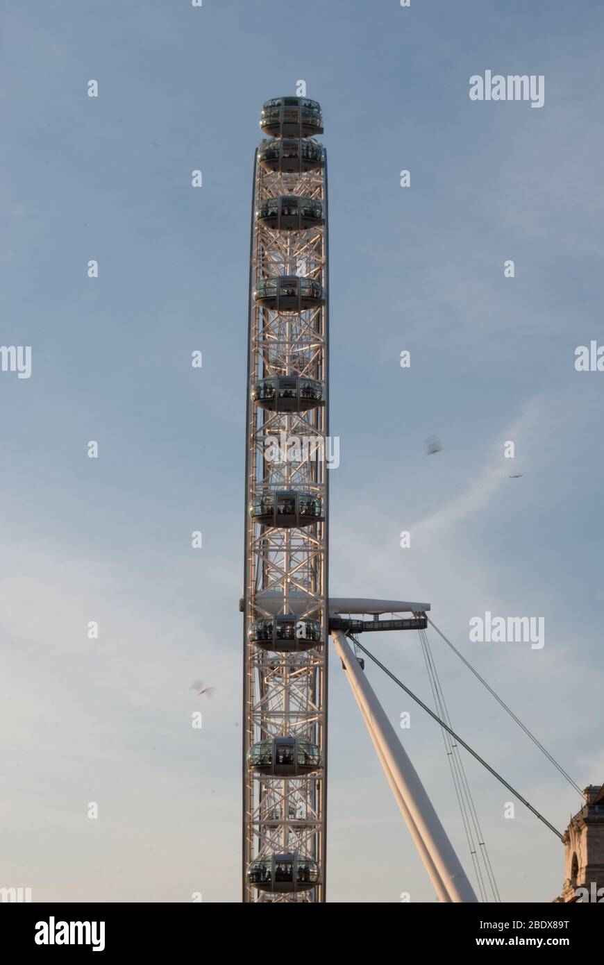 Ruota panoramica rotante London Eye (ruota Millenium), la passeggiata della Regina, Bishop's, Londra SE1 7PB progettato da Marks Barfield Architects Mace Construction Foto Stock