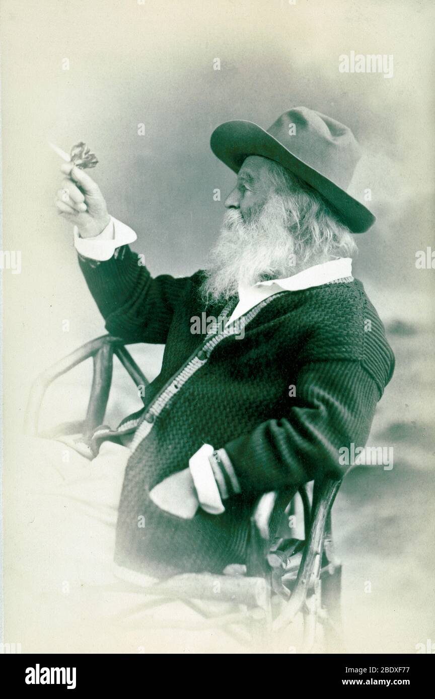 Walt Whitman, poeta americano Foto Stock
