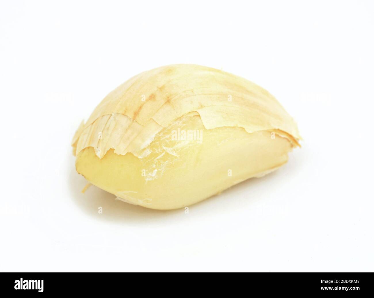 Spicchio d'aglio su sfondo bianco. Foto Stock