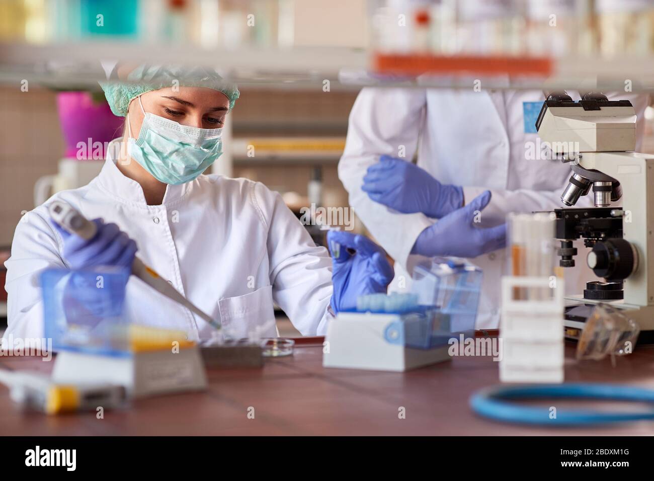 Microbiologa femminile che lavora in laboratorio medico Foto Stock
