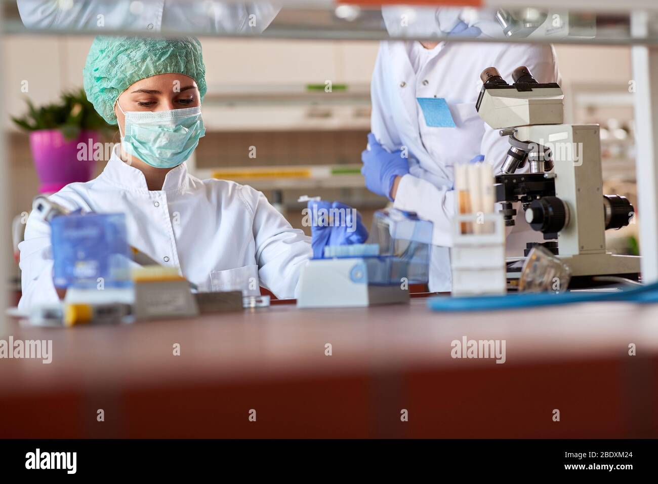 Microbiologo in laboratorio che esamina campioni di sangue sul virus Corona Foto Stock
