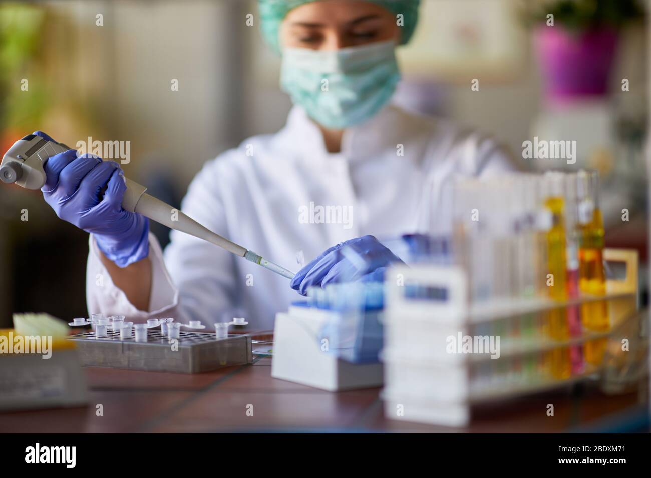Femmina in laboratorio con pipetta per analisi del sangue Foto Stock