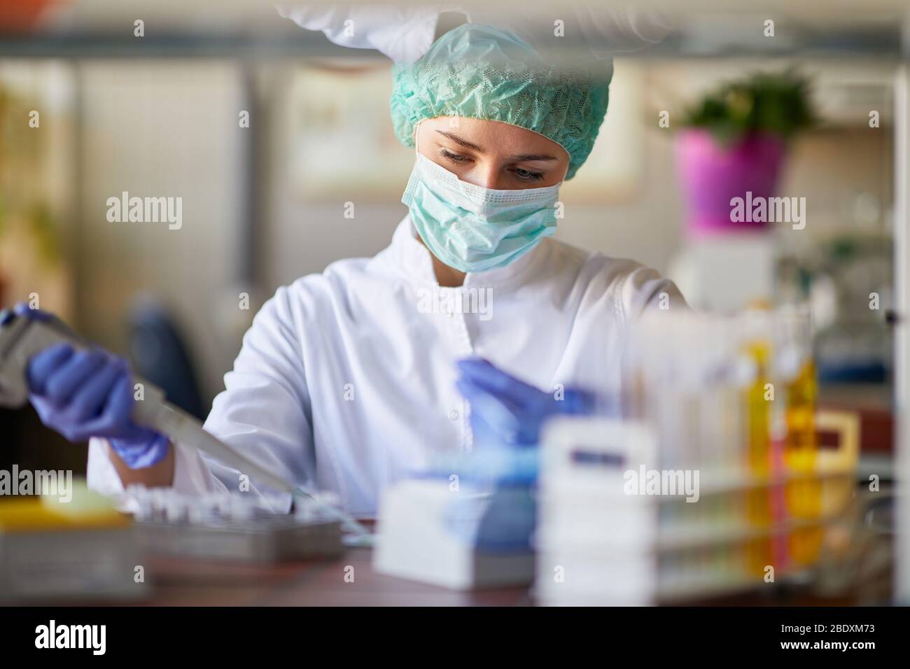Tecnico di laboratorio che esegue analisi del sangue sul virus Corona Foto Stock
