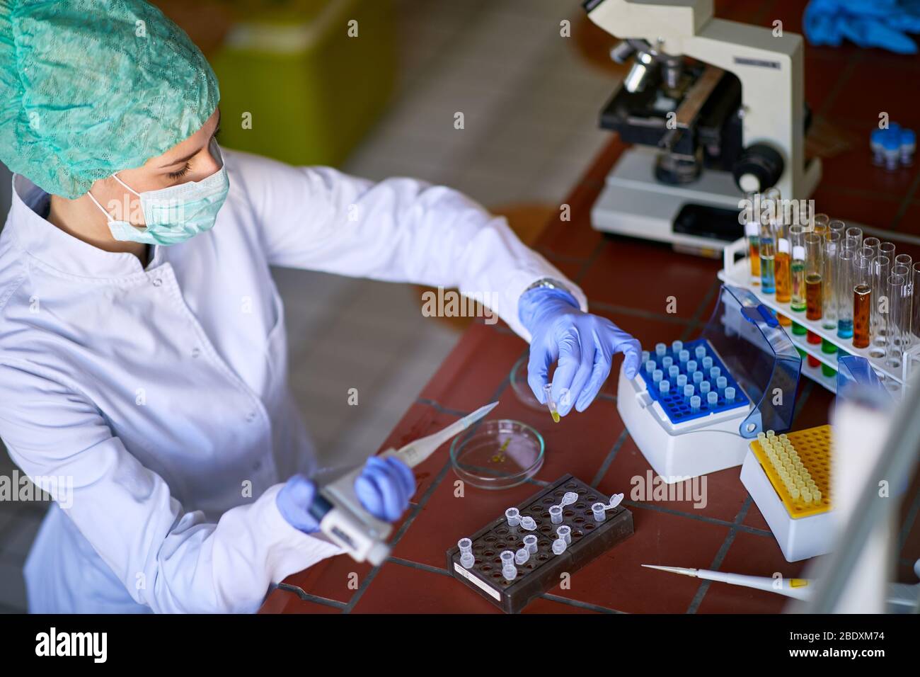 Lavoratore di laboratorio femmina che esegue analisi in laboratorio biochimico Foto Stock
