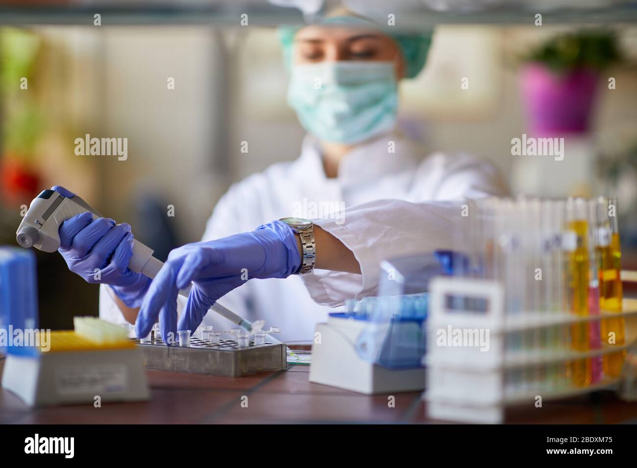 Lavoratrice in laboratorio per il test del campione di sangue sul virus Corona Foto Stock