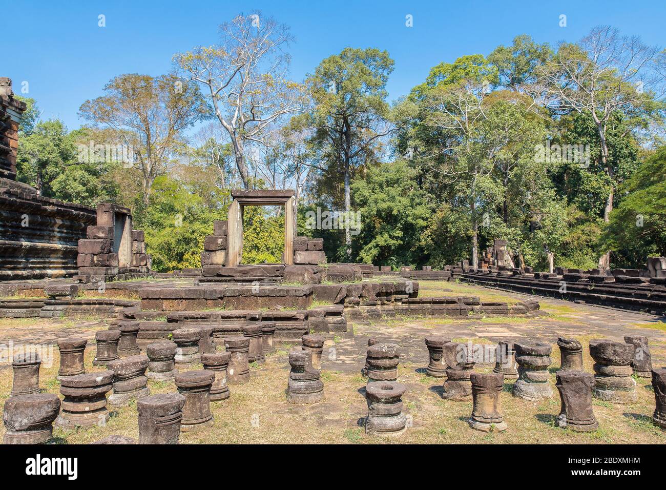 Banyan Tree e rovine del tempio di Baphuon Angkor Thom, Siem Reap, Cambogia. Foto Stock