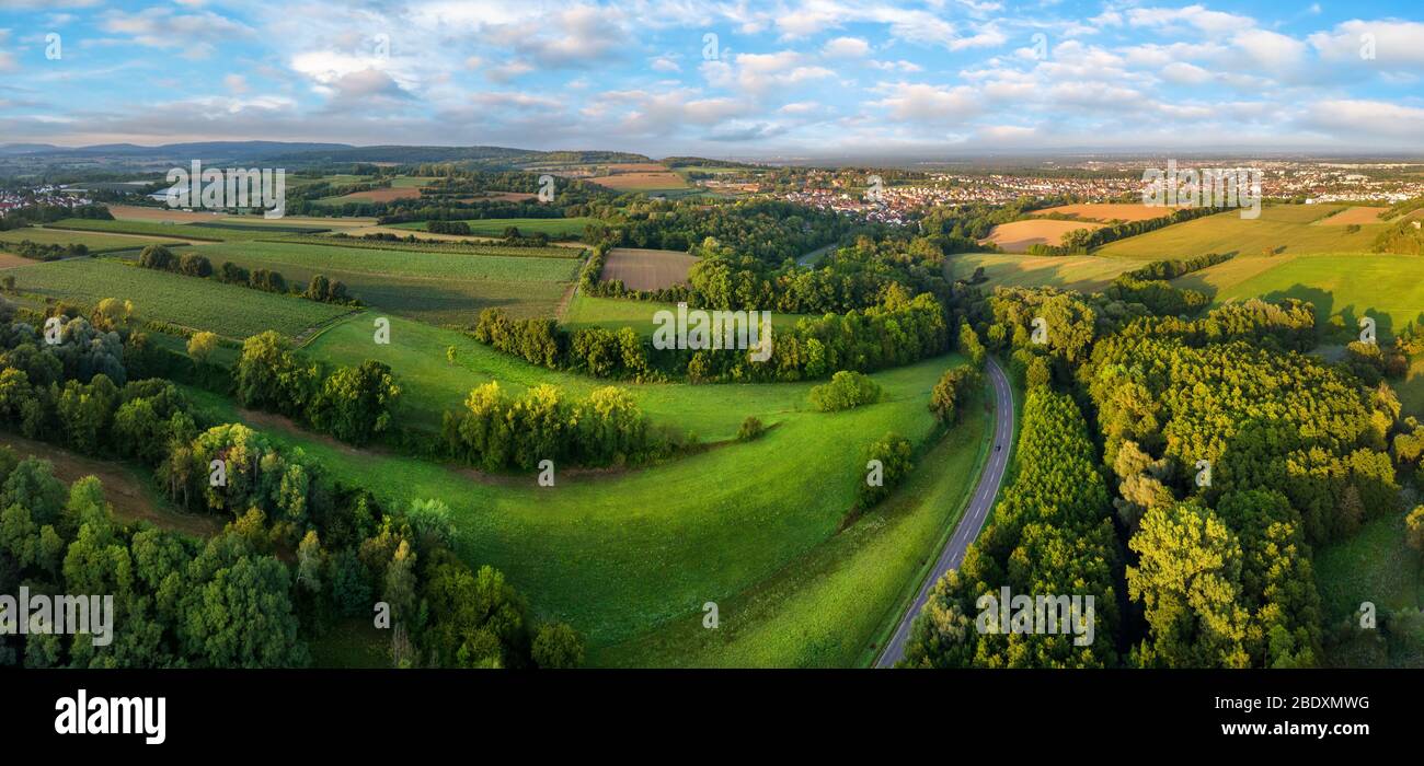 Splendido panorama panoramico aereo dopo l'alba: Prati e foreste europee con cielo blu e linee di guida Foto Stock