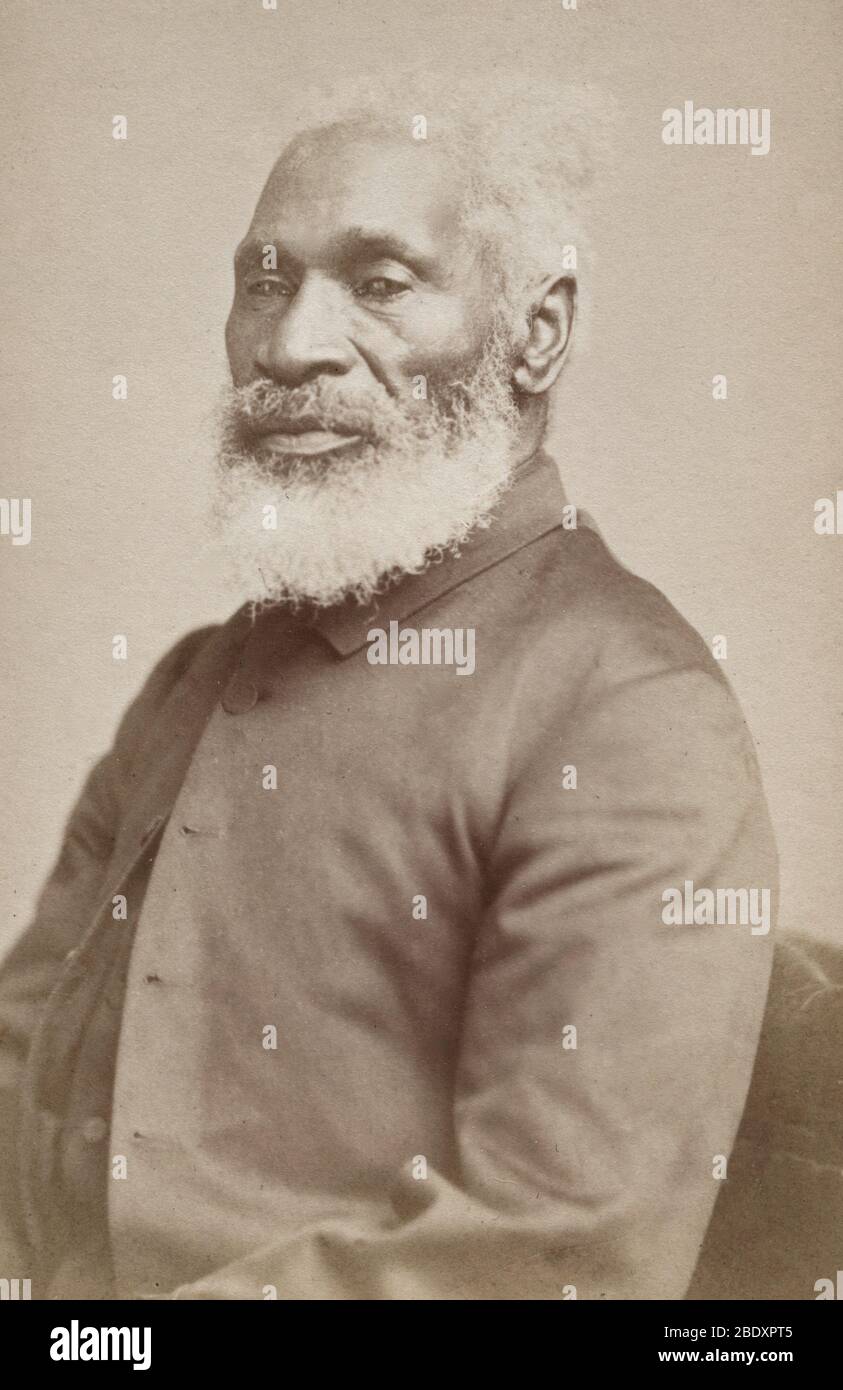 Josiah Henson, autore, abolizionista, ex Slave Foto Stock