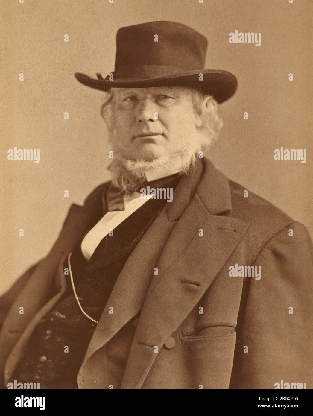 Horace Greeley, giornale americano Editor Foto Stock