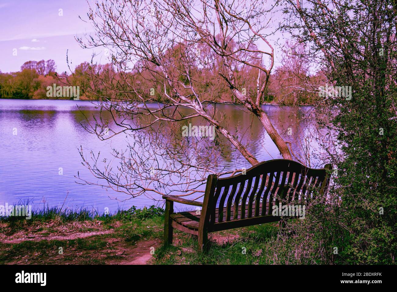 Parco panchina in un luogo tranquillo che si affaccia su un lago a Harrodd Odell Country Park Foto Stock