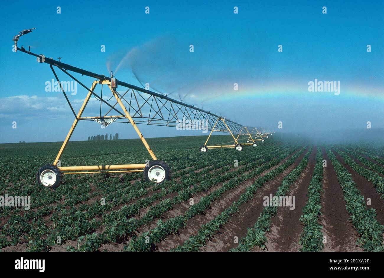 Irrigazione & Arcobaleno Foto Stock Irrigazione & Arcobaleno Foto Stock