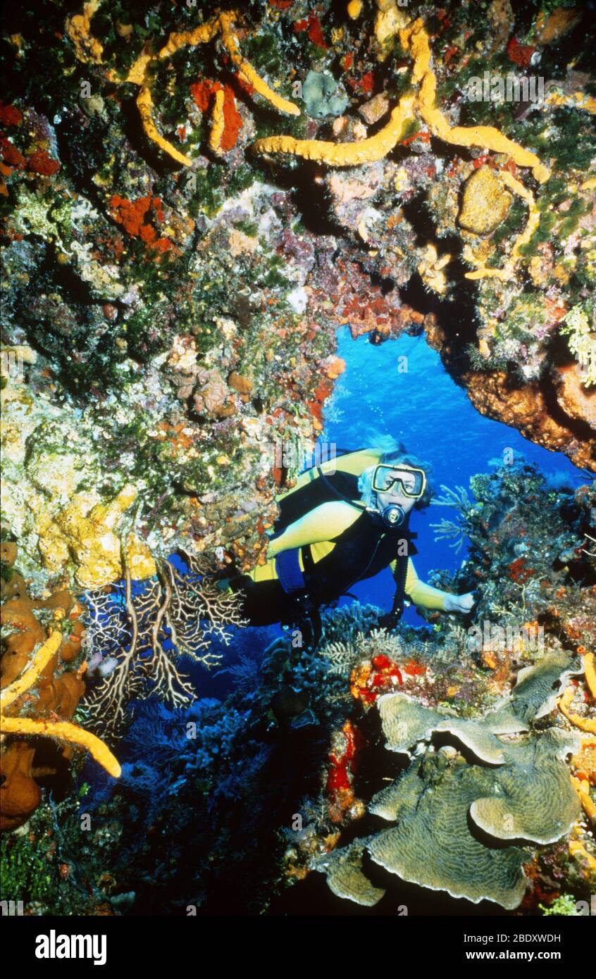 Immersioni subacquee Foto Stock