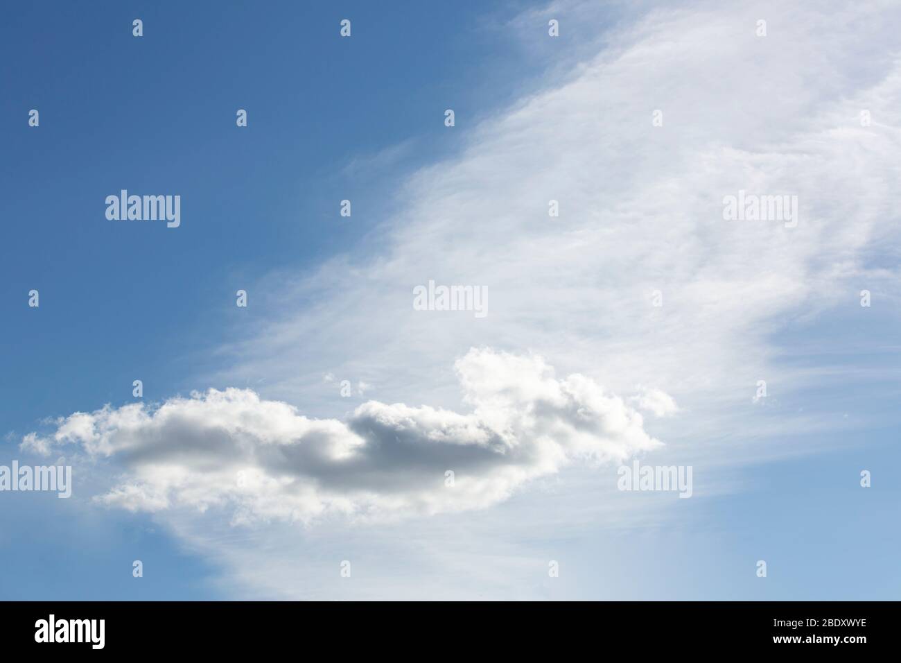 Nuvola bianca a forma di piano su cielo blu con coda bianca , Finlandia Foto Stock