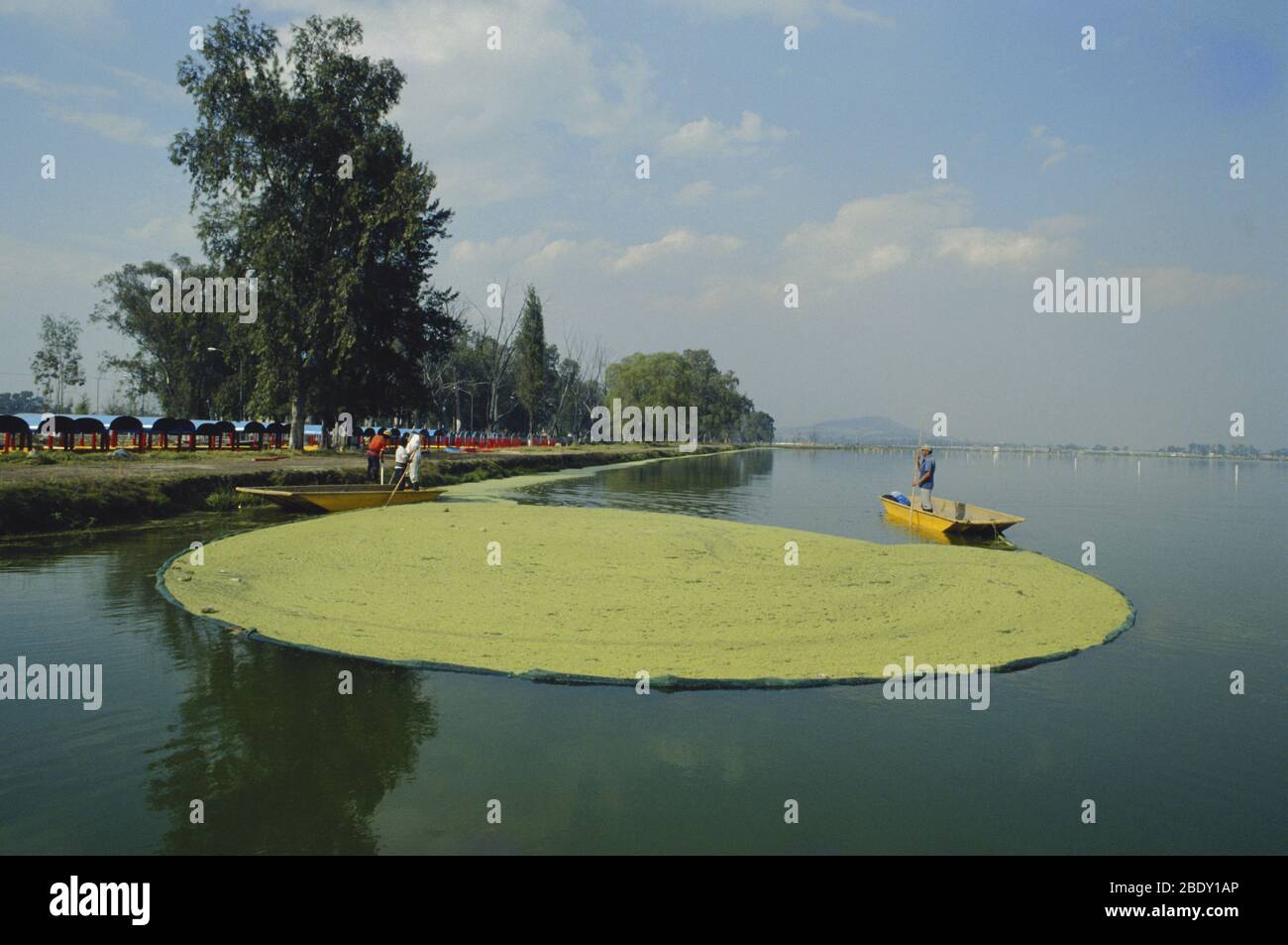 Xochimilco Floating Gardens Foto Stock