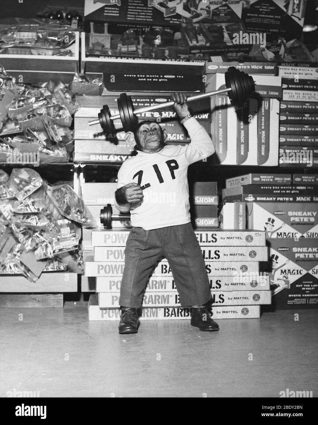 Uomo del muscolo Foto Stock