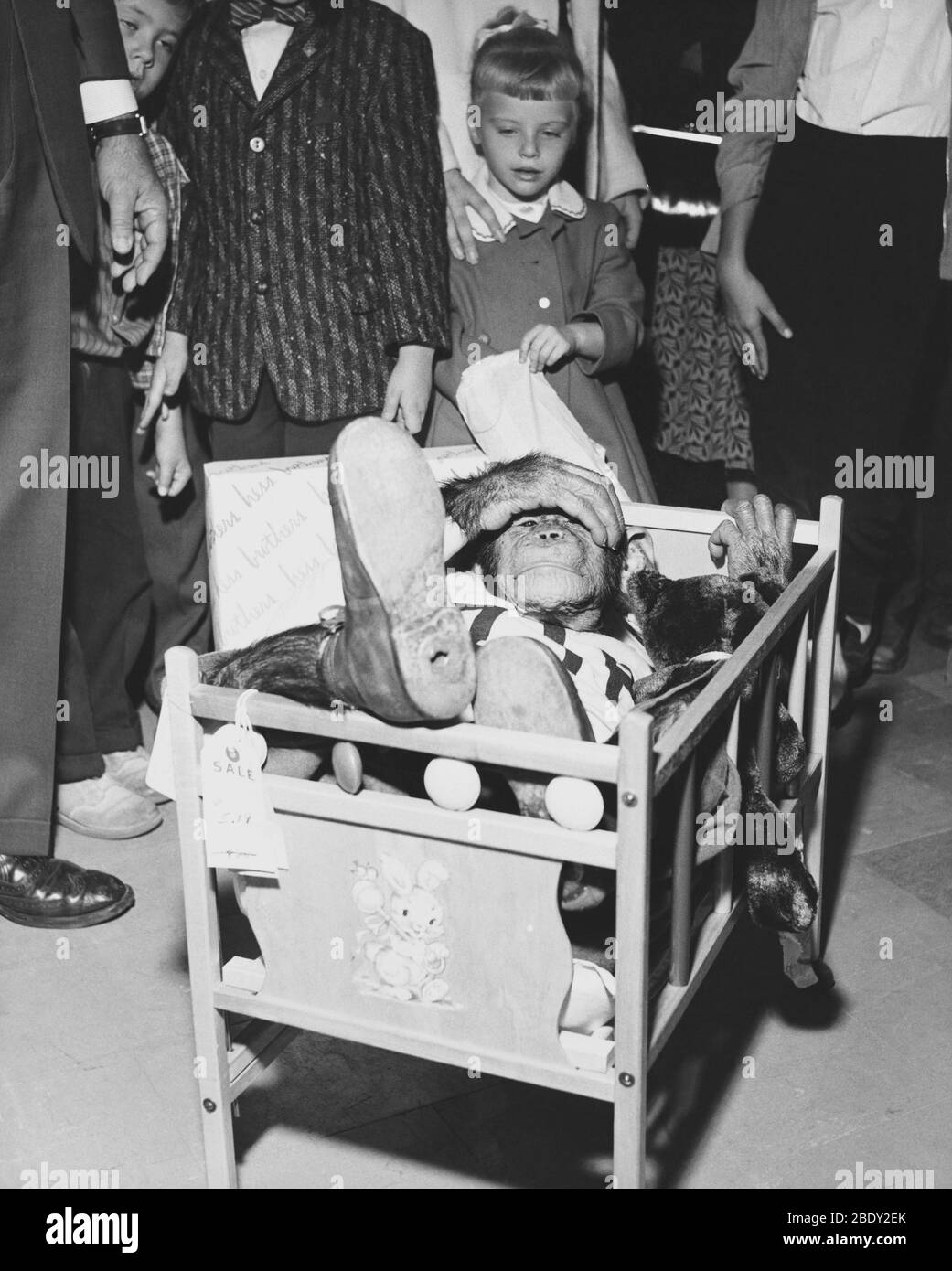 Niente più rum e cokes Foto Stock